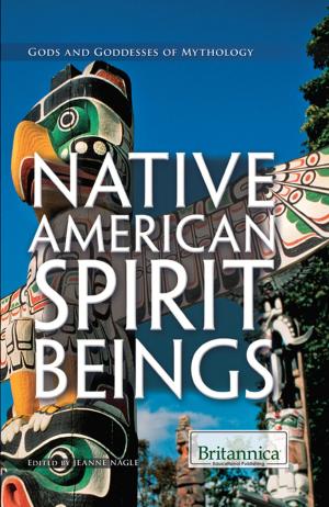 Cover of the book Native American Spirit Beings by Philip Wolny