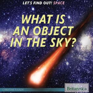 Cover of What Is an Object in the Sky?