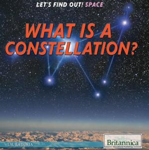 Cover of the book What Is a Constellation? by Jason Carter