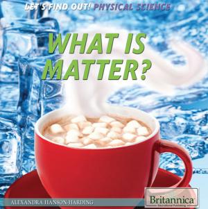 bigCover of the book What Is Matter? by 