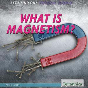 Cover of the book What Is Magnetism? by Lionel Pender