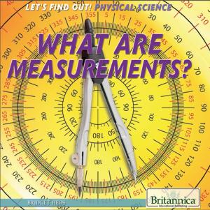 Cover of the book What Are Measurements? by Nicholas Croce