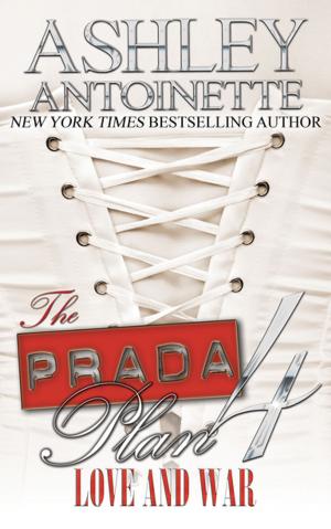 Book cover of The Prada Plan 4