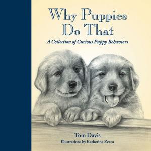Cover of the book Why Puppies Do That by Gordon MacQuarrie