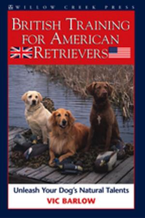 Cover of British Training for American Retrievers