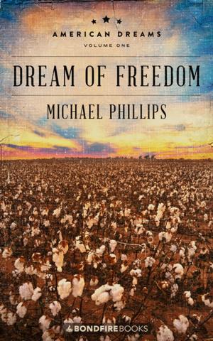 Cover of the book Dream of Freedom by Winston S. Churchill