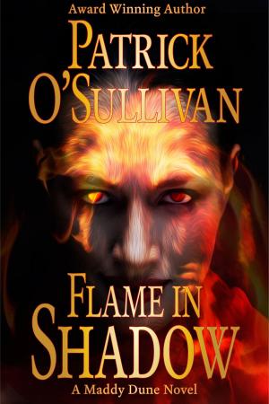 Book cover of Flame in Shadow