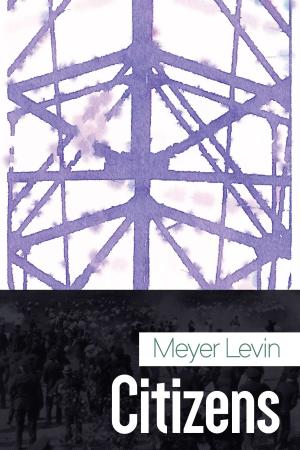 Cover of the book Citizens by Meyer Levin