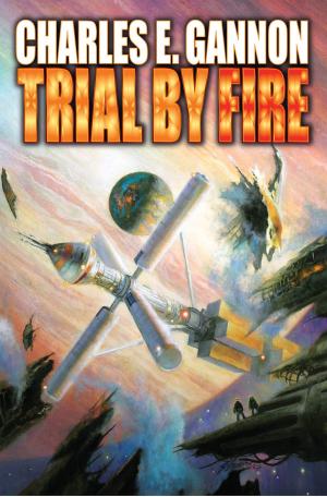 Cover of the book Trial by Fire by Eric Flint, Ryk E. Spoor