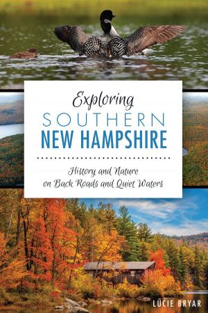 Cover of the book Exploring Southern New Hampshire by Patricia Harrington Carson, E. Anne Mazzotta