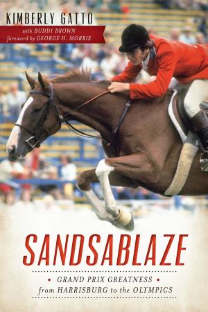 Cover of the book Sandsablaze by Patricia Ibbotson