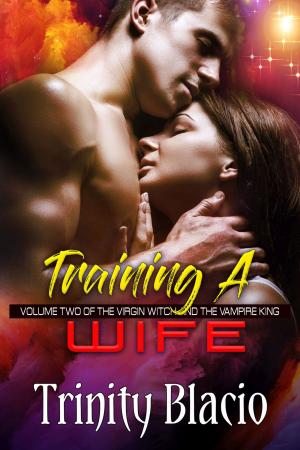 Cover of the book Training a Wife by Cathy Lubenski