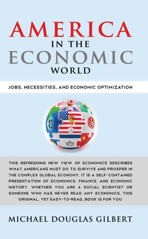 Book cover of America in the Economic World