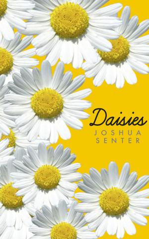 bigCover of the book Daisies by 