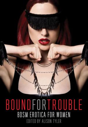 Cover of the book Bound for Trouble by Keston Ott-Dahl