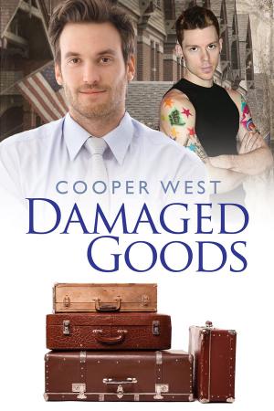 Cover of the book Damaged Goods by Bru Baker
