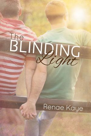 Cover of the book The Blinding Light by N.D. Clark