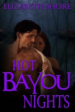Cover of the book Hot Bayou Nights by Maxine  Mansfield
