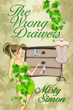 Cover of the book The Wrong Drawers by Allie  Standifer