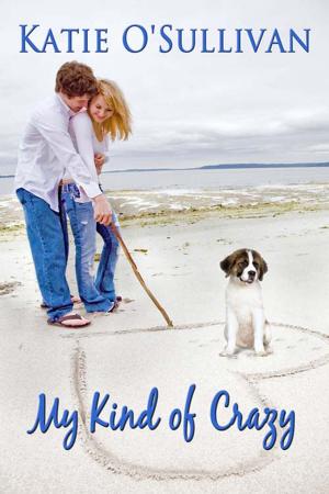 Cover of the book My Kind of Crazy by Anne  Ashby