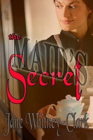Book cover of The Maid's Secret