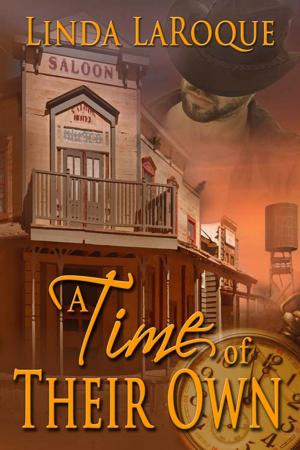 Cover of the book A Time of Their Own by Darcy  Lundeen