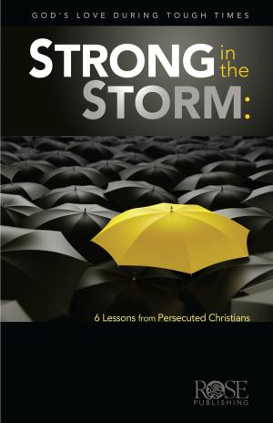 Cover of the book Strong in the Storm by Norm Wright