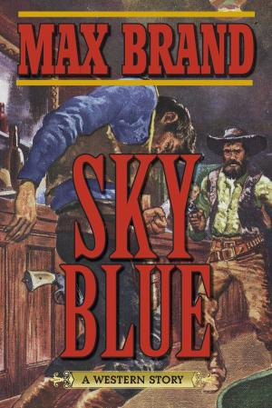 Cover of the book Sky Blue by John Luckner, Suzanne Rudolph
