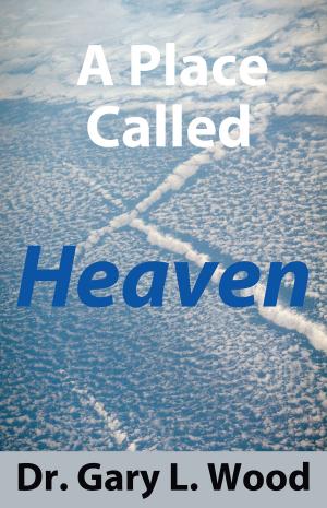 Cover of the book Place Called Heaven, A by AmyK Hutchens