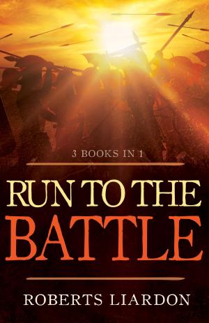 Cover of the book Run to the Battle by John David (vormals Premananda)