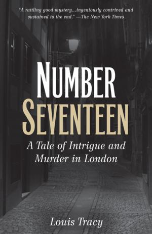 Book cover of Number Seventeen