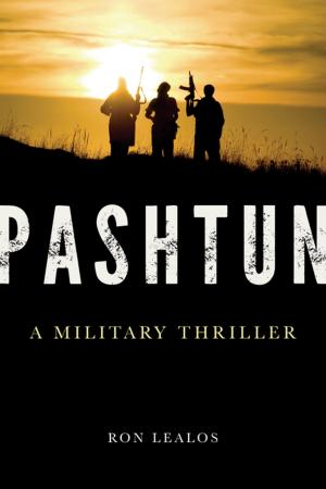 Cover of the book Pashtun by Herbert J. Stern