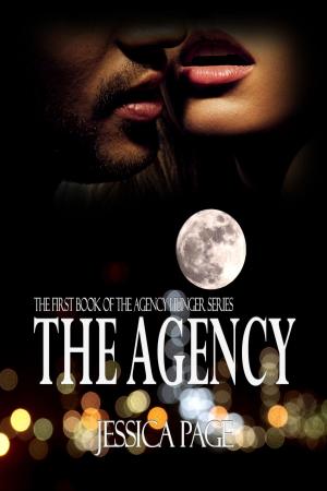 Cover of the book The Agency by Ken Lindsey