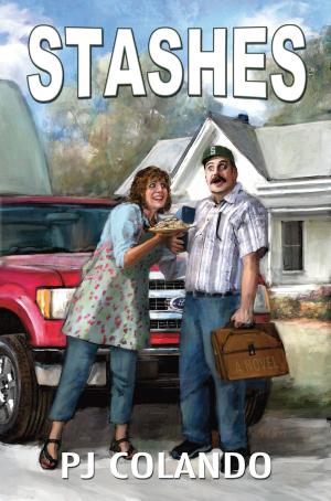 Cover of the book Stashes by Simonette Vaja