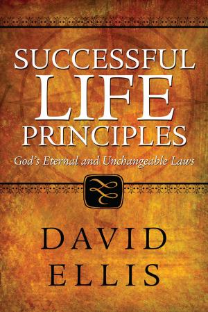 Book cover of Successful Life Principles