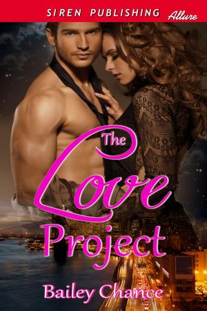 Book cover of The Love Project