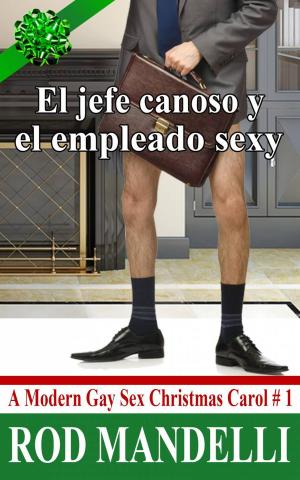 Cover of El jefe canoso y el empleado sexy: A Modern Gay Sex Christmas Carol n.1
