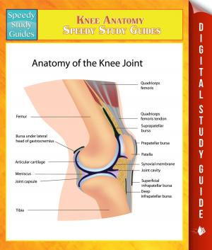 Cover of the book Knee Anatomy Speedy Study Guides by Baby Professor