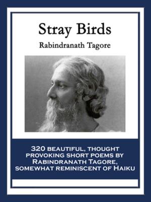 Cover of the book Stray Birds by Voltaire