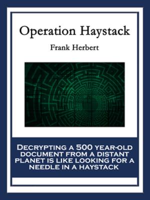 Cover of the book Operation Haystack by Robert E. Howard
