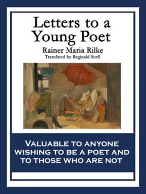 Cover of the book Letters to a Young Poet by Robert E. Howard