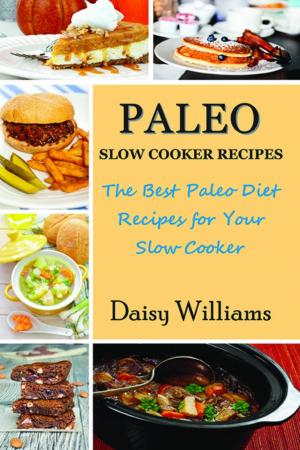 Cover of the book Paleo Slow Cooker Recipes by Savannah Stoddard