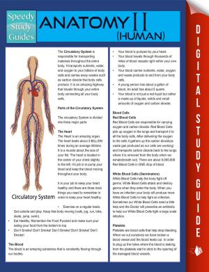 bigCover of the book Anatomy II (Human) (Speedy Study Guides) by 