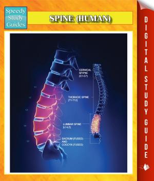 bigCover of the book Spine (Human) Speedy Study Guides by 