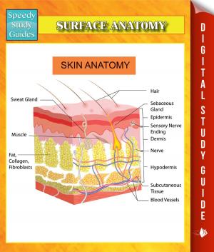 Cover of the book Surface Anatomy Speedy Study Guides by Speedy Publishing