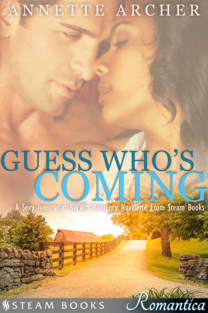 Book cover of Guess Who's Coming - A Sexy Interracial BWWM Romance Novelette From Steam Books