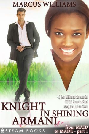 Book cover of Knight in Shining Armani - A Sexy Billionaire Interracial BWWM Romance Short Story from Steam Books