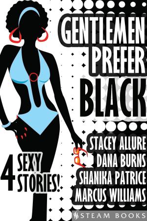 Cover of the book Gentlemen Prefer Black - A Sexy Bundle of 4 Interracial BWWM Short Stories from Steam Books by Jolie James, Melody Lewis, Dara Tulen