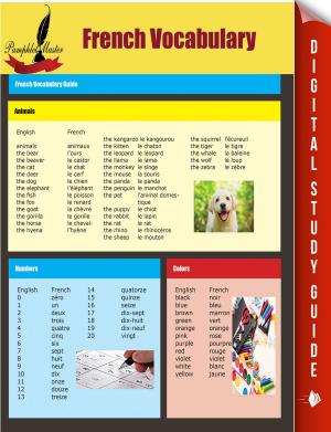 bigCover of the book French Vocabulary by 