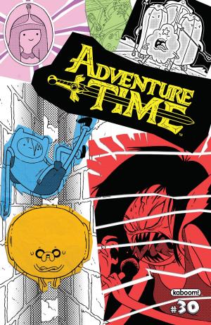 Cover of Adventure Time #30